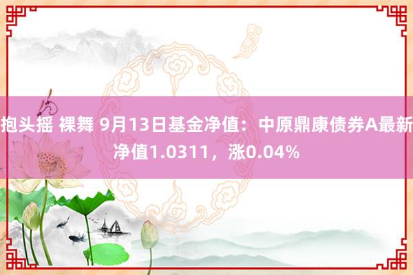 抱头摇 裸舞 9月13日基金净值：中原鼎康债券A最新净值1.0311，涨0.04%