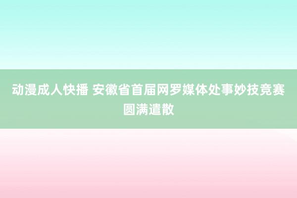 动漫成人快播 安徽省首届网罗媒体处事妙技竞赛圆满遣散
