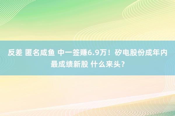 反差 匿名咸鱼 中一签赚6.9万！矽电股份成年内最成绩新股 什么来头？