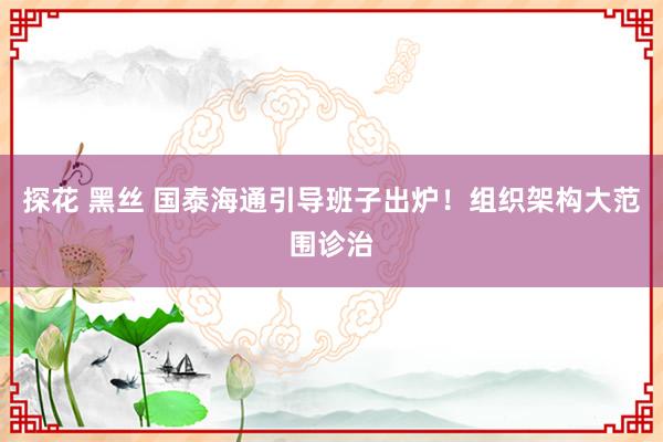 探花 黑丝 国泰海通引导班子出炉！组织架构大范围诊治