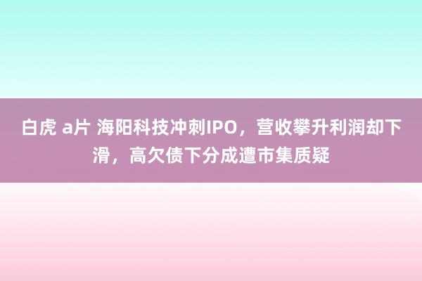 白虎 a片 海阳科技冲刺IPO，营收攀升利润却下滑，高欠债下分成遭市集质疑