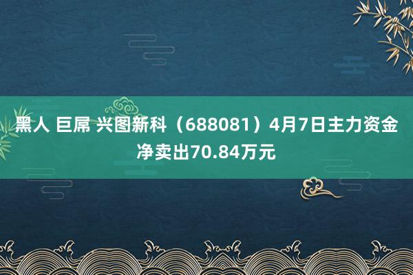 黑人 巨屌 兴图新科（688081）4月7日主力资金净卖出70.84万元