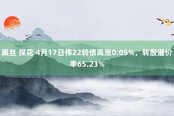 黑丝 探花 4月17日伟22转债高涨0.05%，转股溢价率65.23%