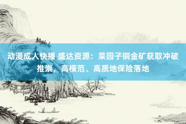 动漫成人快播 盛达资源：菜园子铜金矿获取冲破推崇，高模范、高质地保险落地